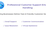 provide professional customer support email handling